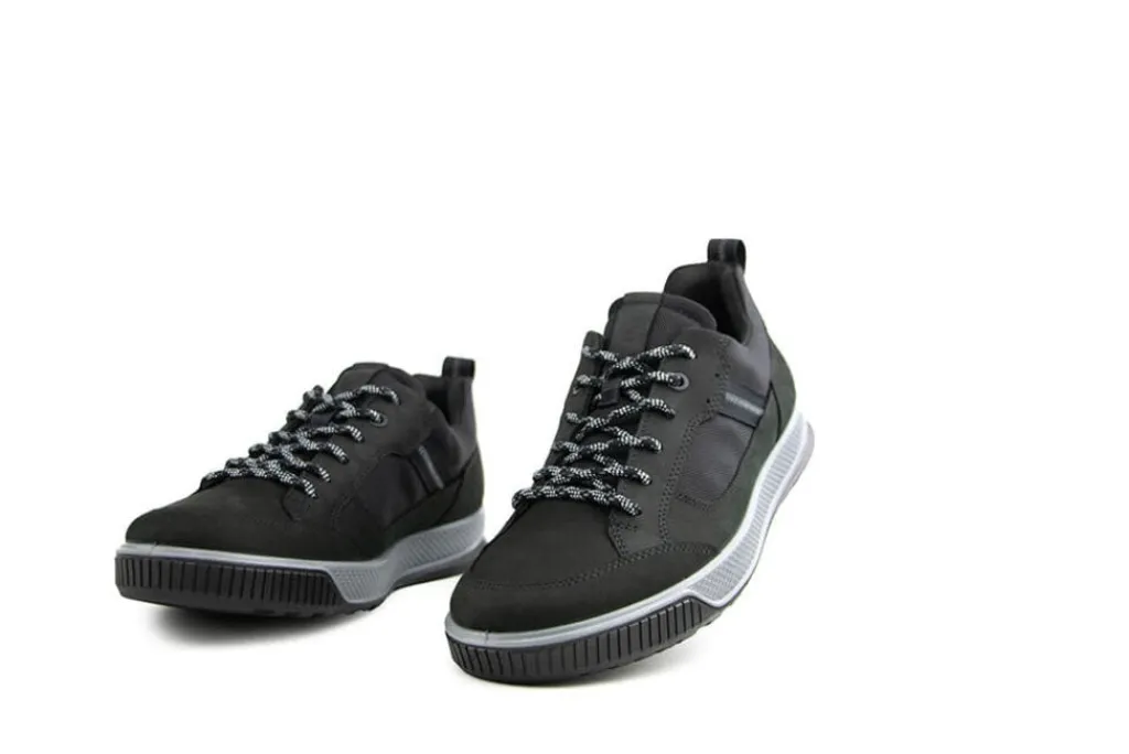 Sneakers^Ecco Byway Tred Gore Tex Sneaker Black