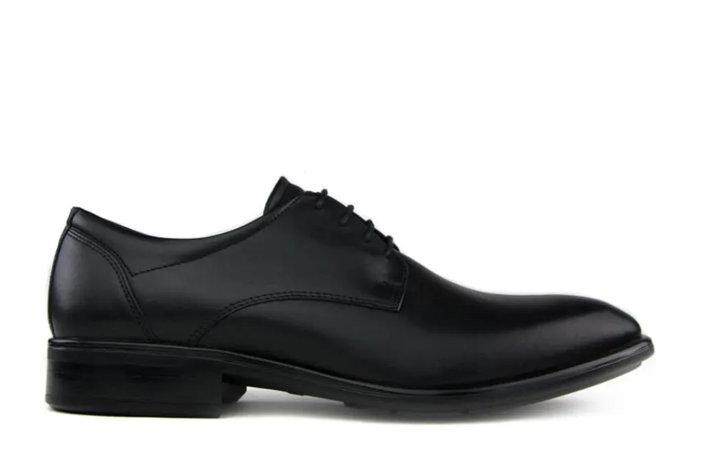 Veterschoenen | Nette Schoenen^Ecco Veter Citytray Black Santiago