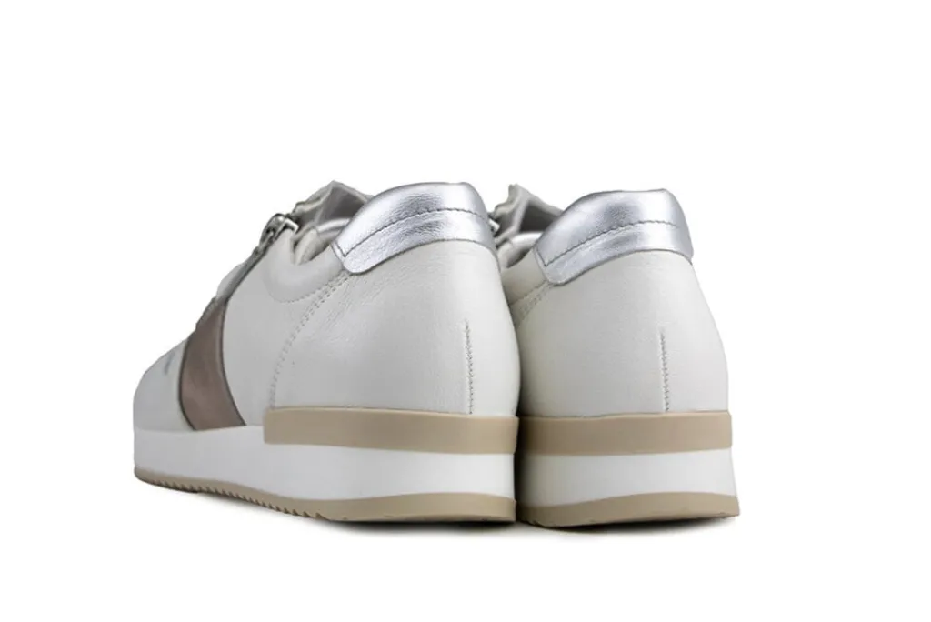 Sneakers^Gabor Sneaker Latte Puder Silber Nappa Satin