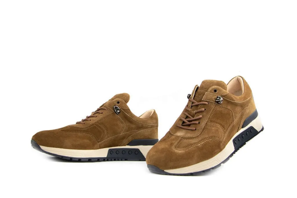 Sneakers^Greve Sneaker Haarlem Alce Talca