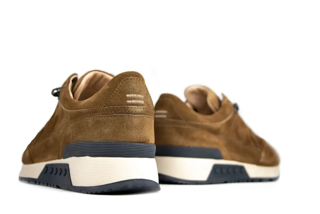 Sneakers^Greve Sneaker Haarlem Alce Talca