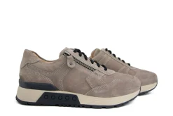 Sneakers^Greve Sneaker Haarlem K Roccia Suede