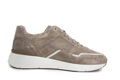 Sneakers^Greve Sneaker Walker K Roccia Suede