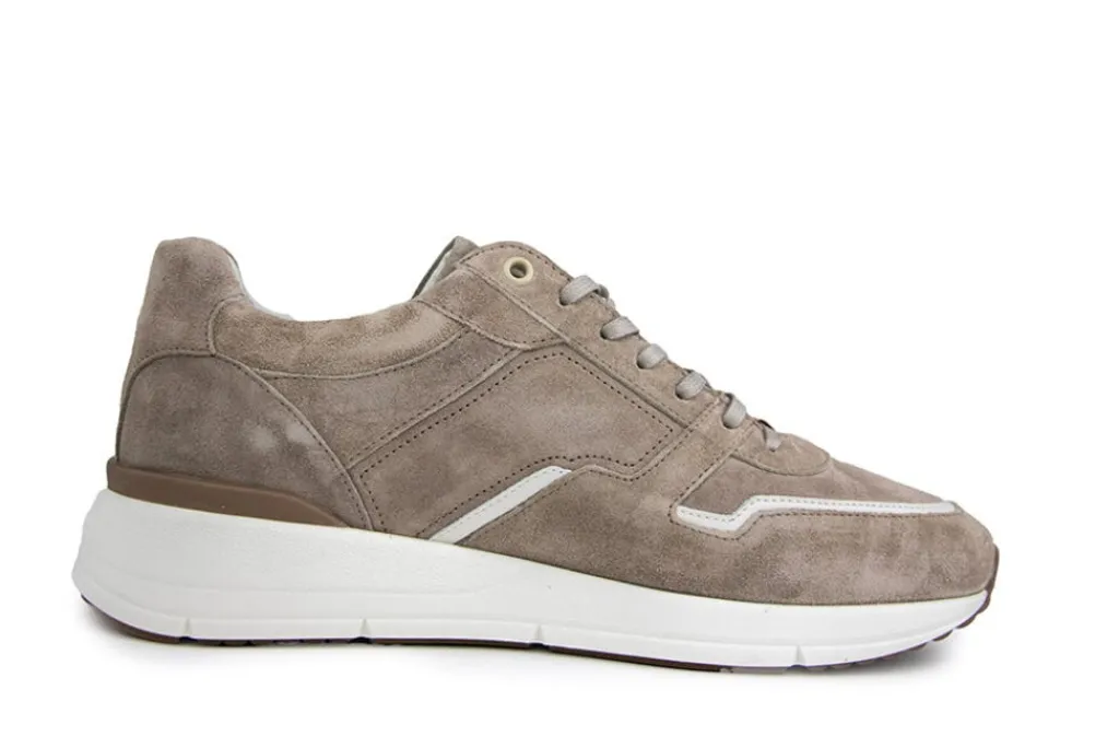 Sneakers^Greve Sneaker Walker K Roccia Suede