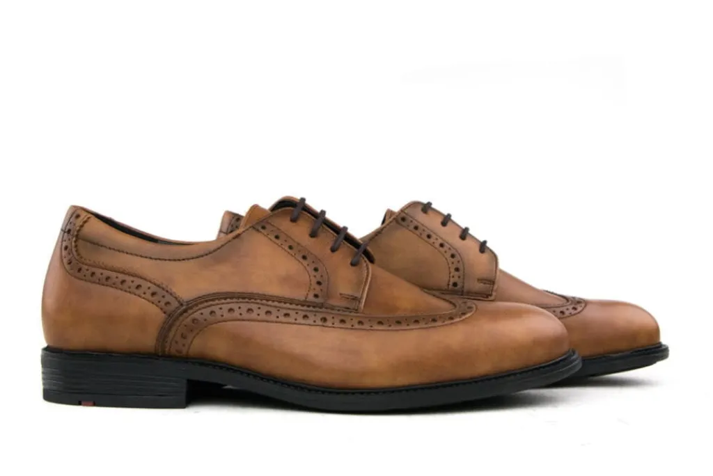 Veterschoenen | Veterschoenen^Lloyd Veterschoen Broque Kenia Cognac