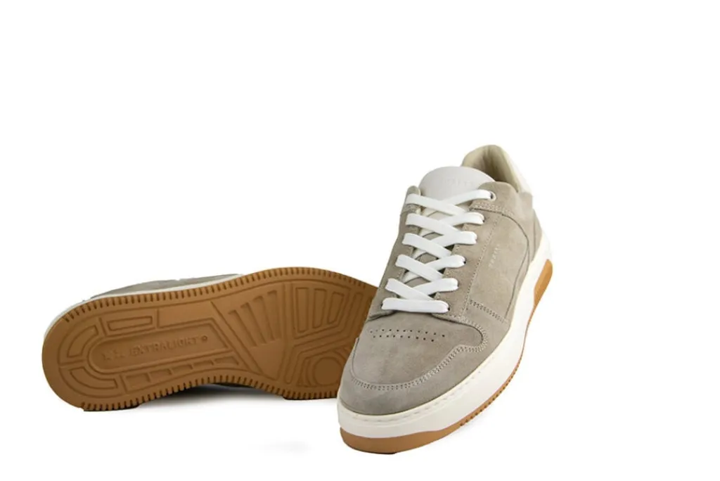 Sneakers^Nubikk Basket Court Miele Mist Suede