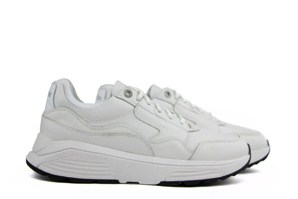 Sneakers^Xsensible Sneaker Golden Gate Men White
